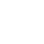 A stylized icon of the United States.