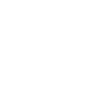 A stylized icon of a thumbprint with a lock.